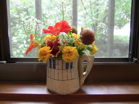 以前はあいちゃんが、トイレにお花を飾ってくれていましたが、今はのんちゃんが、かわいらしいお花をお庭から摘んできてくれます。