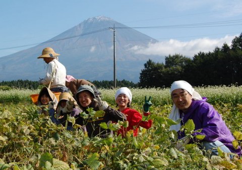 富士山の見える畑で農作業体験