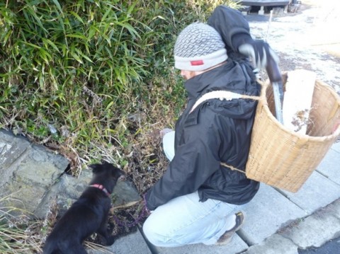 愛犬と一緒にゴミ拾いにまわるリックさん。
